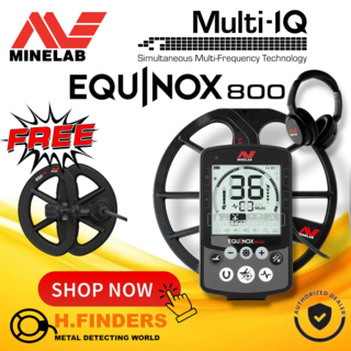 Minelab Equinox 800 + Free 6" Coil