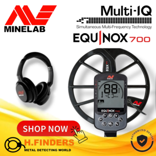 Minelab Equinox 700