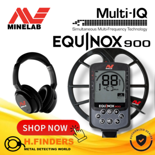 Minelab Equinox 900